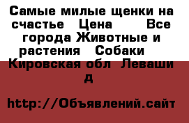 Самые милые щенки на счастье › Цена ­ 1 - Все города Животные и растения » Собаки   . Кировская обл.,Леваши д.